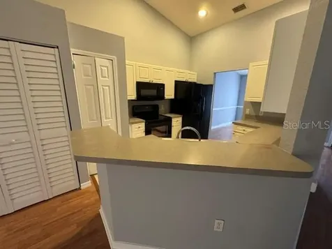 205 Dogfish Lane Kissimmee FL 34759