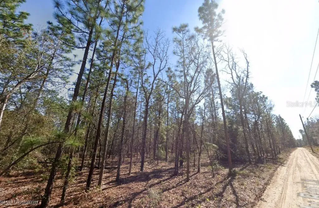 Hills Road Melrose FL 32666