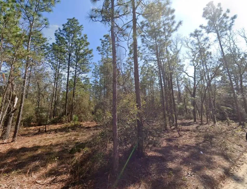 Hills Road Melrose FL 32666