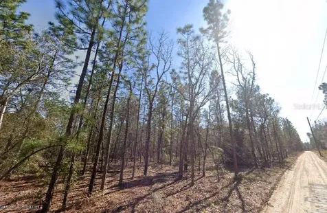 Hills Road Melrose FL 32666