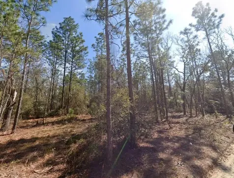 Hills Road Melrose FL 32666