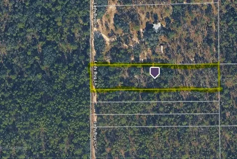 Hills Road Melrose FL 32666