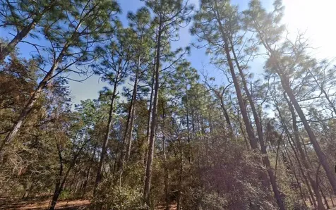 Hills Road Melrose FL 32666