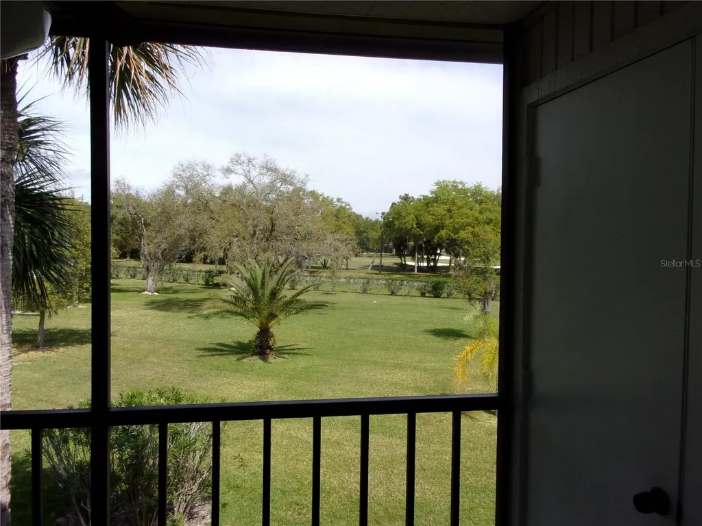 132 E Cypress Court Oldsmar FL 34677
