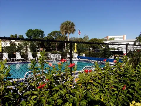132 E Cypress Court Oldsmar FL 34677