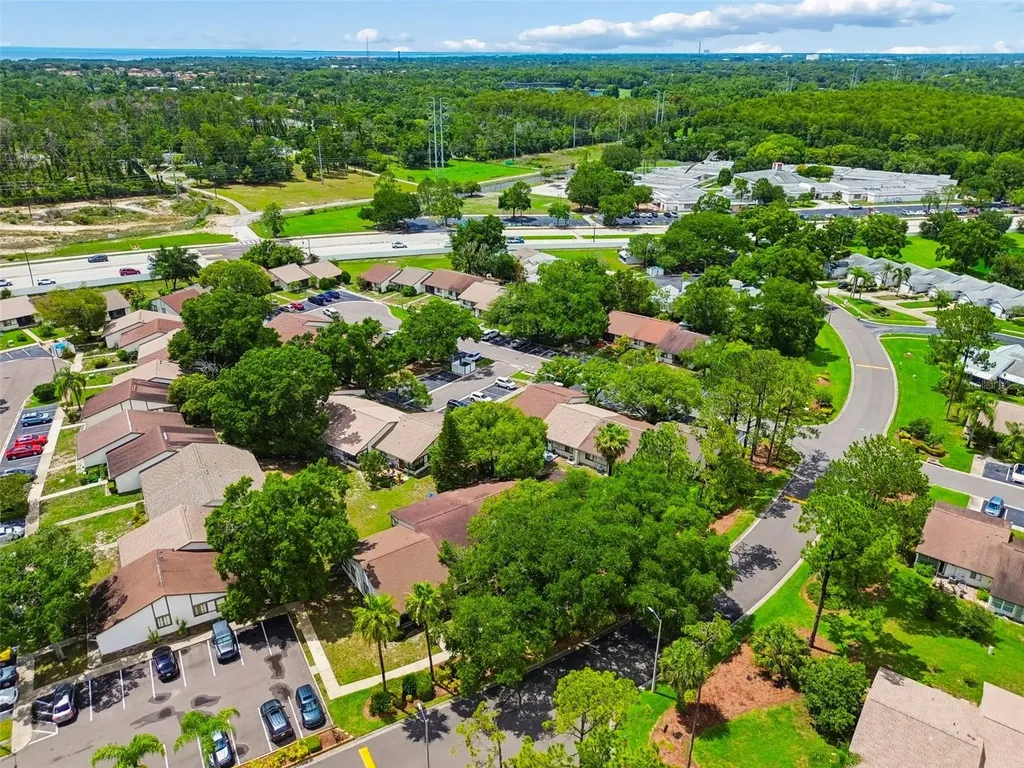 2945 Grovewood Boulevard Palm Harbor FL 34683
