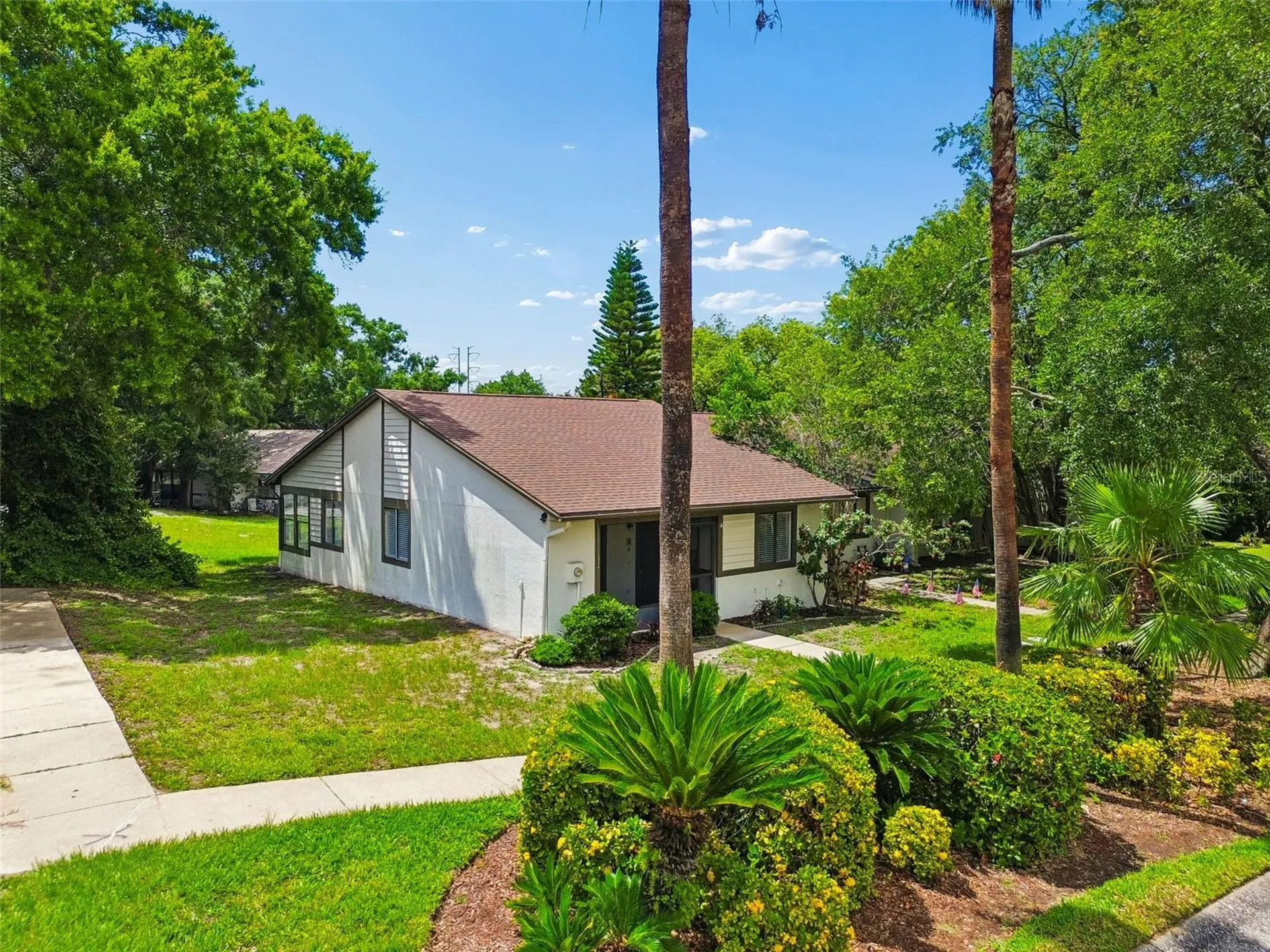 2945 Grovewood Boulevard Palm Harbor FL 34683