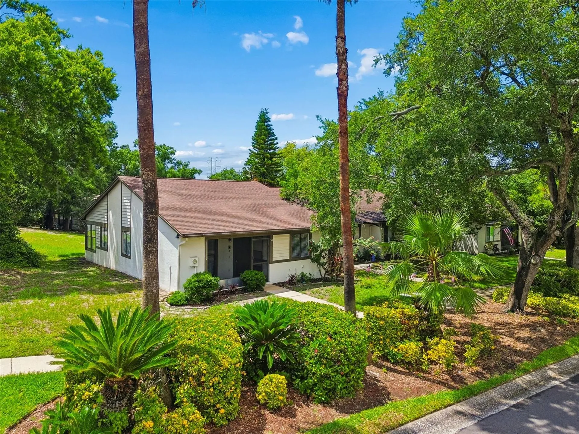 2945 Grovewood Boulevard Palm Harbor FL 34683