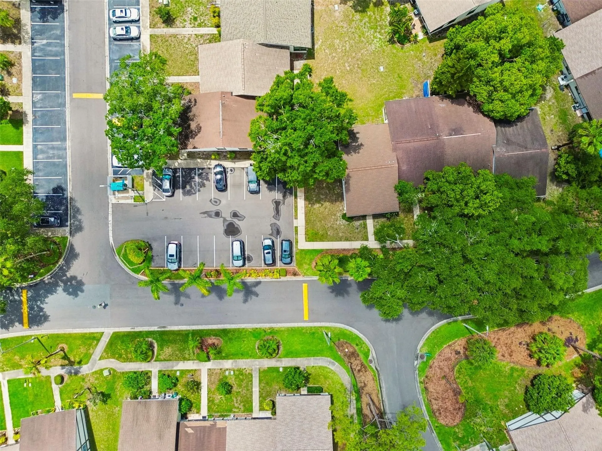 2945 Grovewood Boulevard Palm Harbor FL 34683