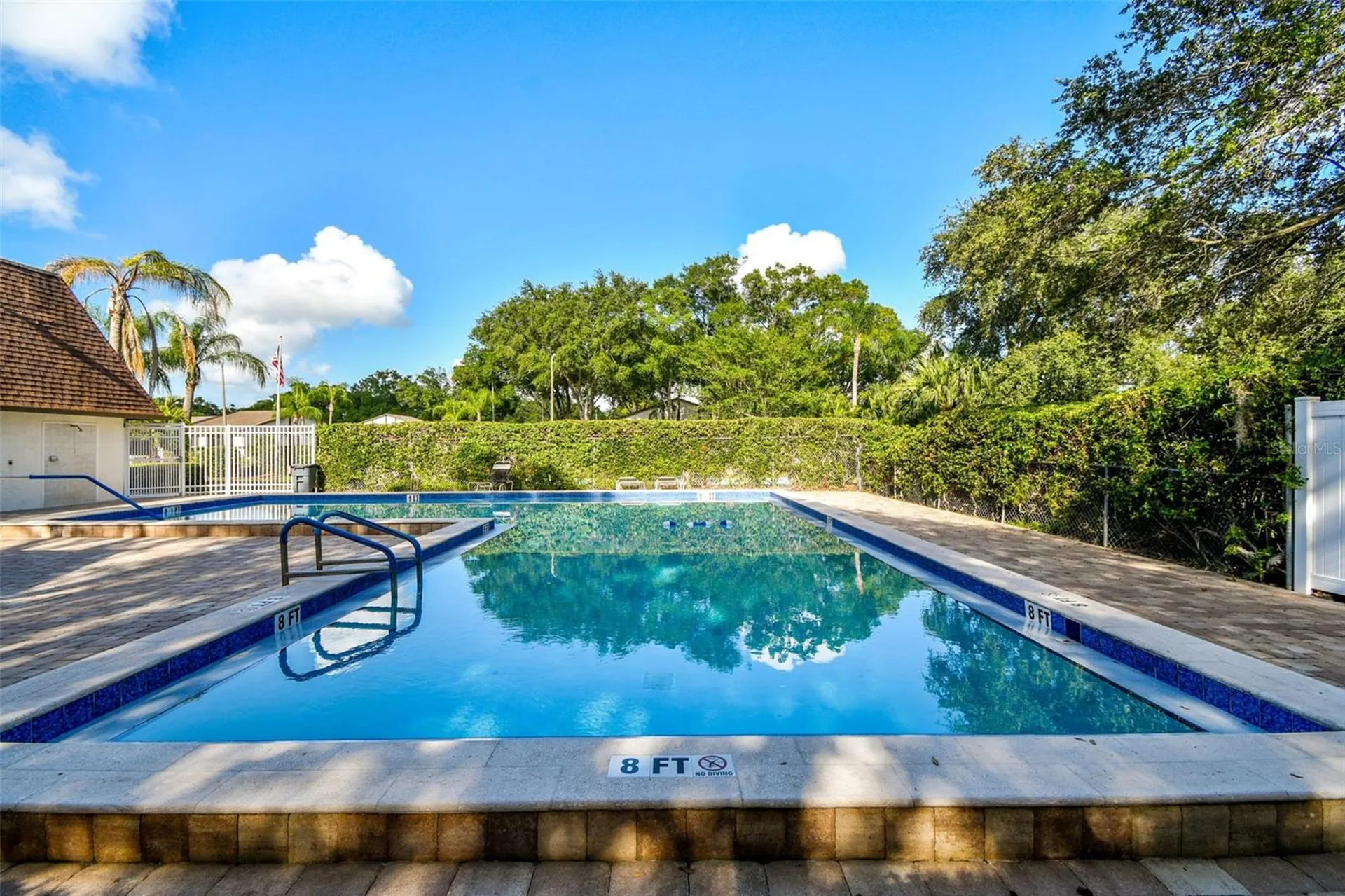 2945 Grovewood Boulevard Palm Harbor FL 34683