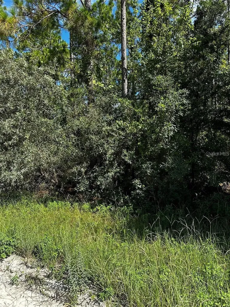 Xx SE 21st Place Williston FL 32696