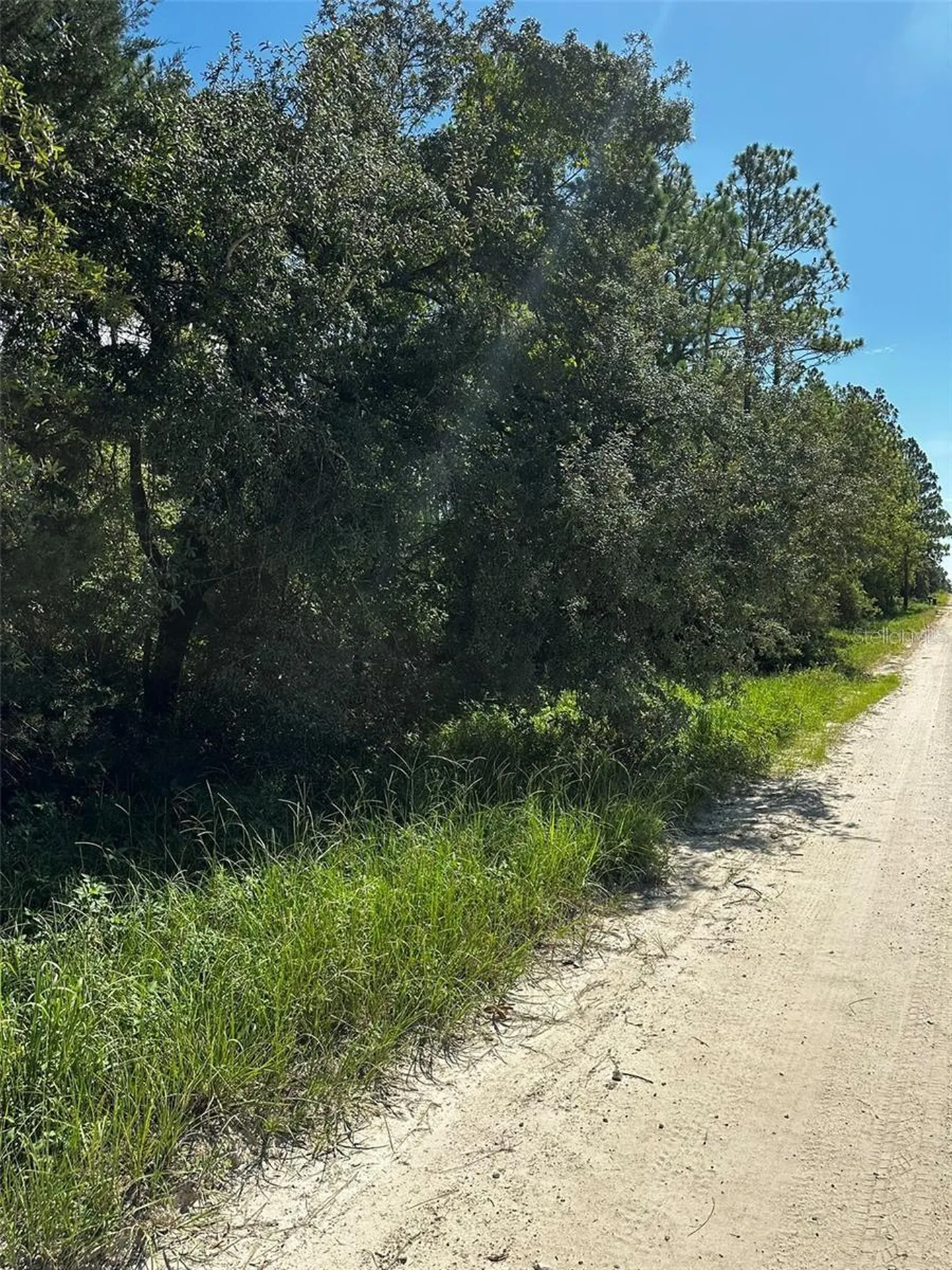 Xx SE 21st Place Williston FL 32696