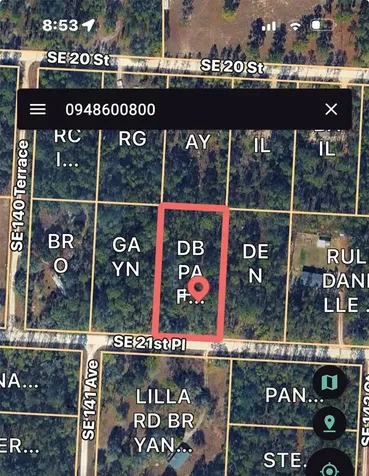 Xx SE 21st Place Williston FL 32696