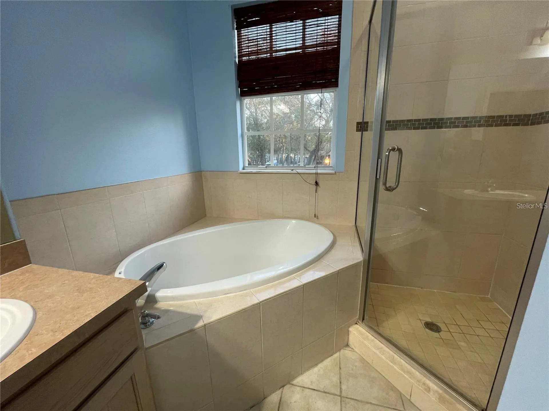14017 Citrus Crest Circle Tampa FL 33625