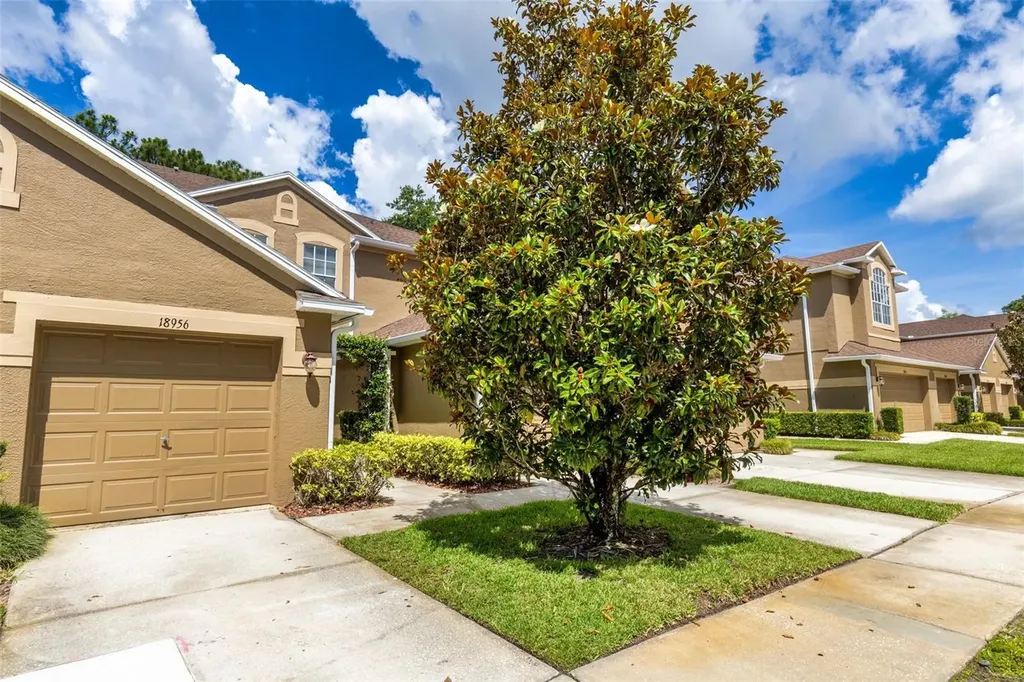 18958 Duquesne Drive Tampa FL 33647