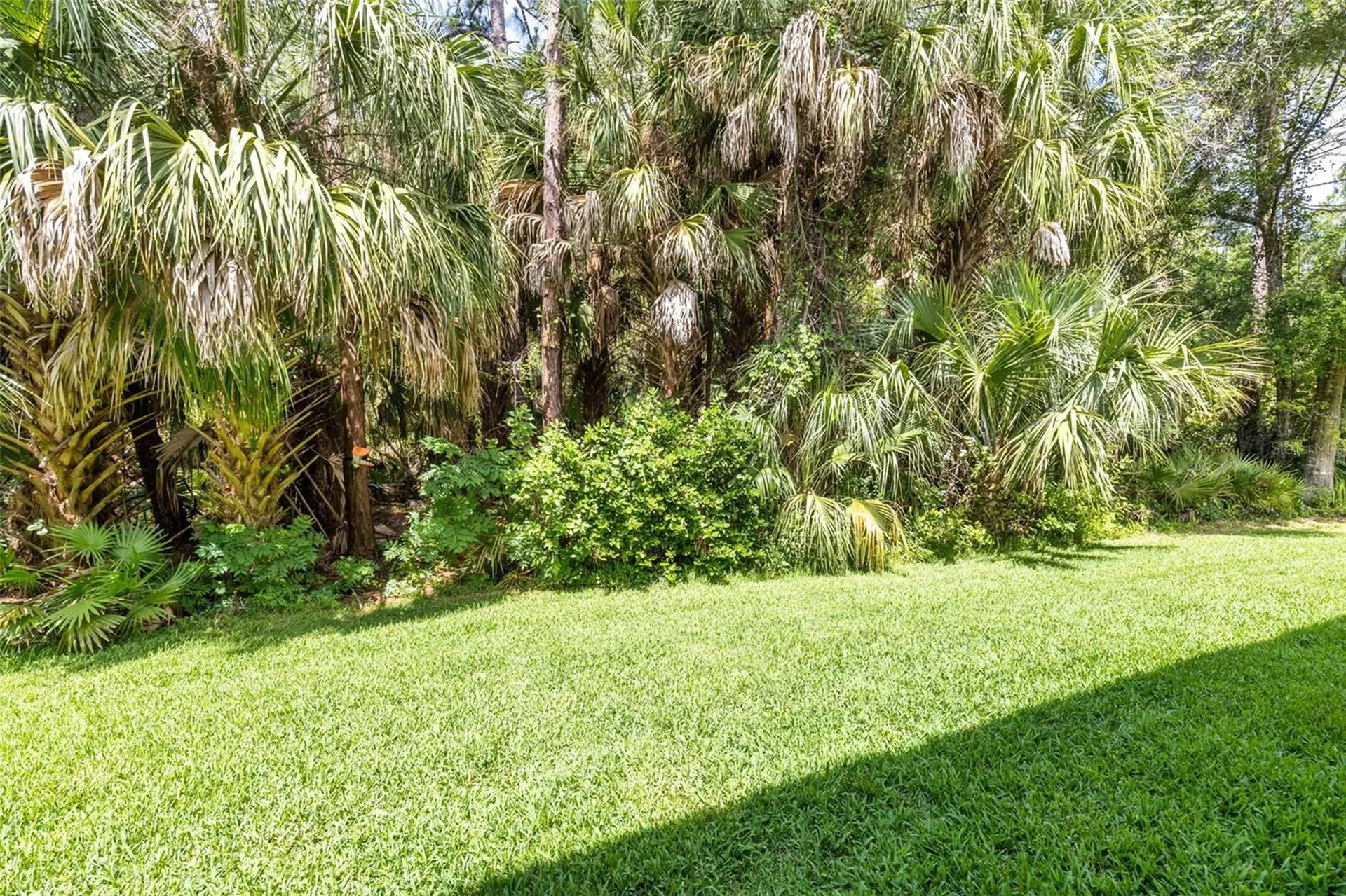 18958 Duquesne Drive Tampa FL 33647