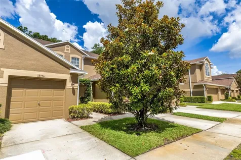 18958 Duquesne Drive Tampa FL 33647