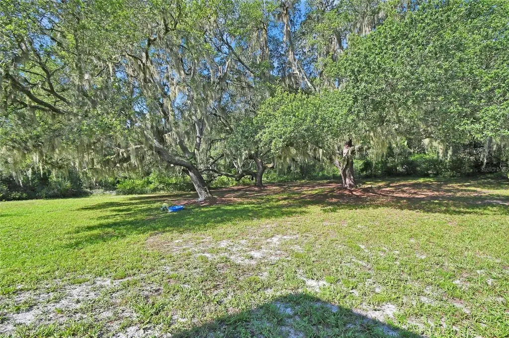 38846 Forest Drive Eustis FL 32736