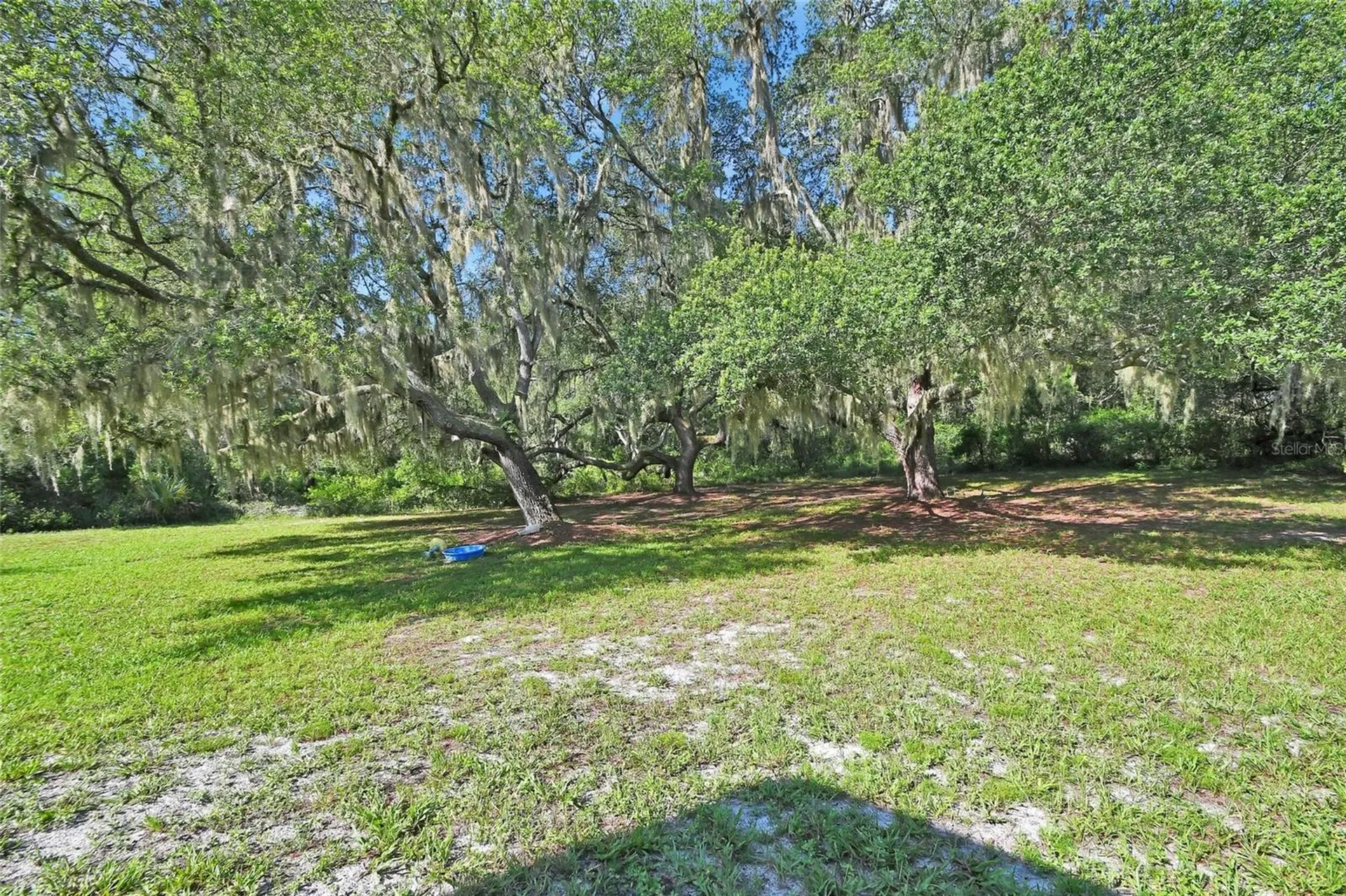 38846 Forest Drive Eustis FL 32736