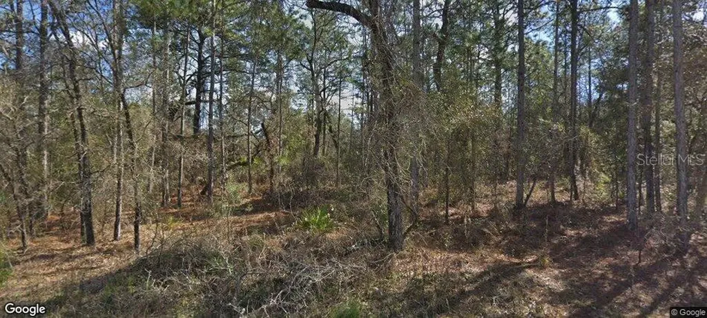14390 English Sparrow Road Weeki Wachee FL 34614