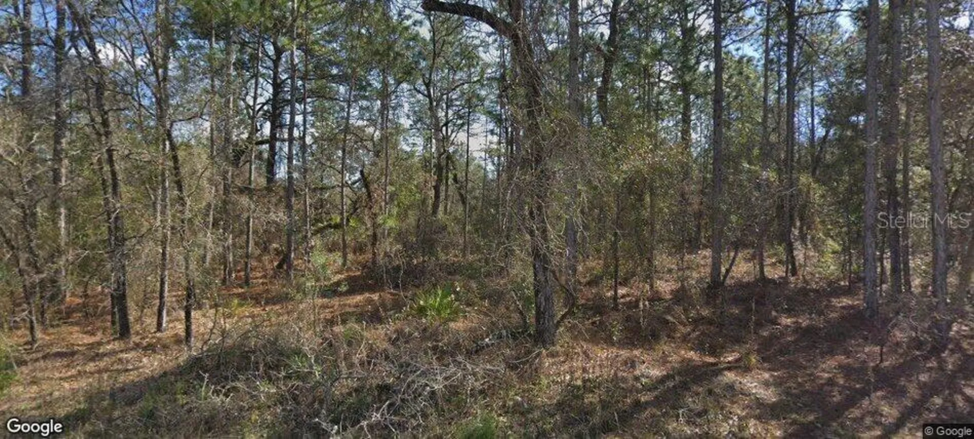 14390 English Sparrow Road Weeki Wachee FL 34614