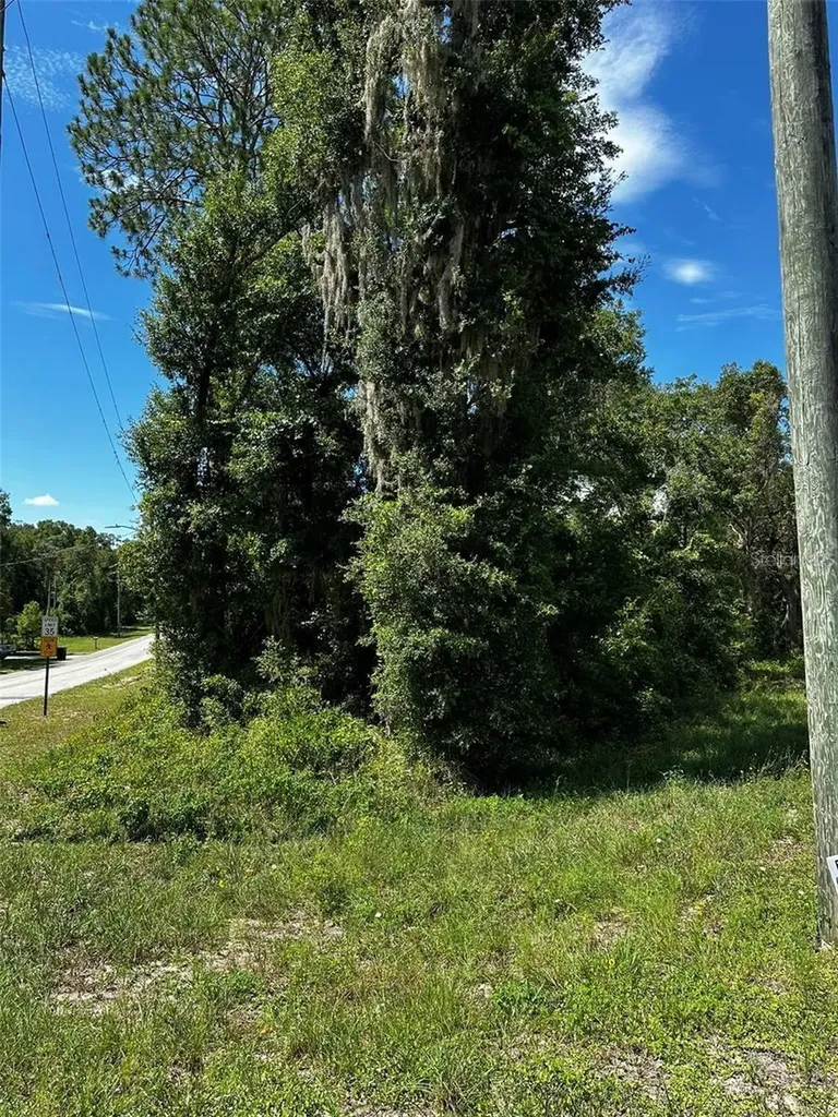 Thrasher Drive Bronson FL 32621