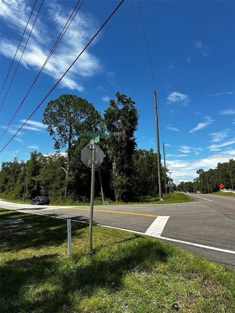 Thrasher Drive Bronson FL 32621