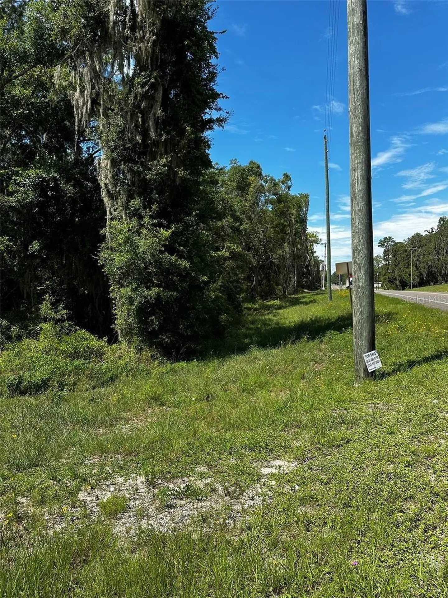 Thrasher Drive Bronson FL 32621