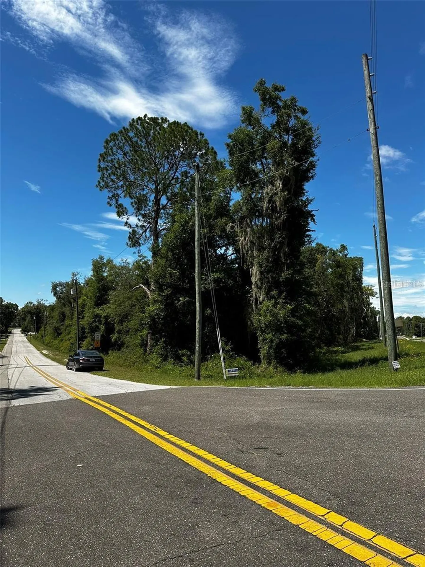 Thrasher Drive Bronson FL 32621