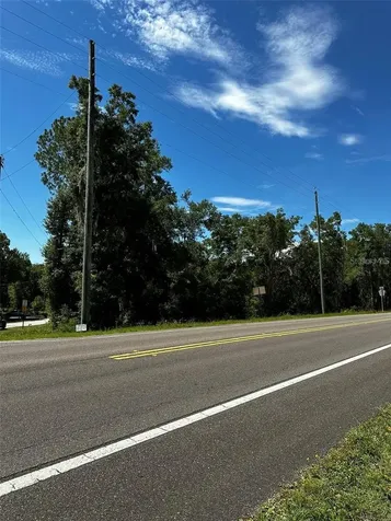 Thrasher Drive Bronson FL 32621