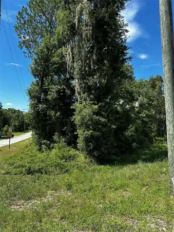 Thrasher Drive Bronson FL 32621