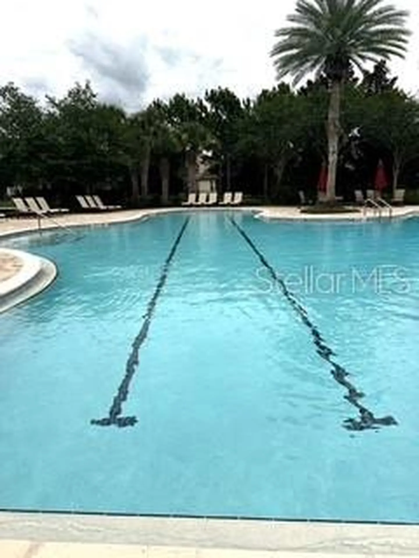 5048 Palmetto Park Drive Winter Garden FL 34787
