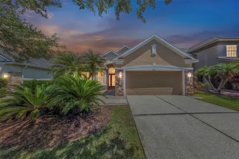 11243 Blacksmith Drive Tampa FL 33626