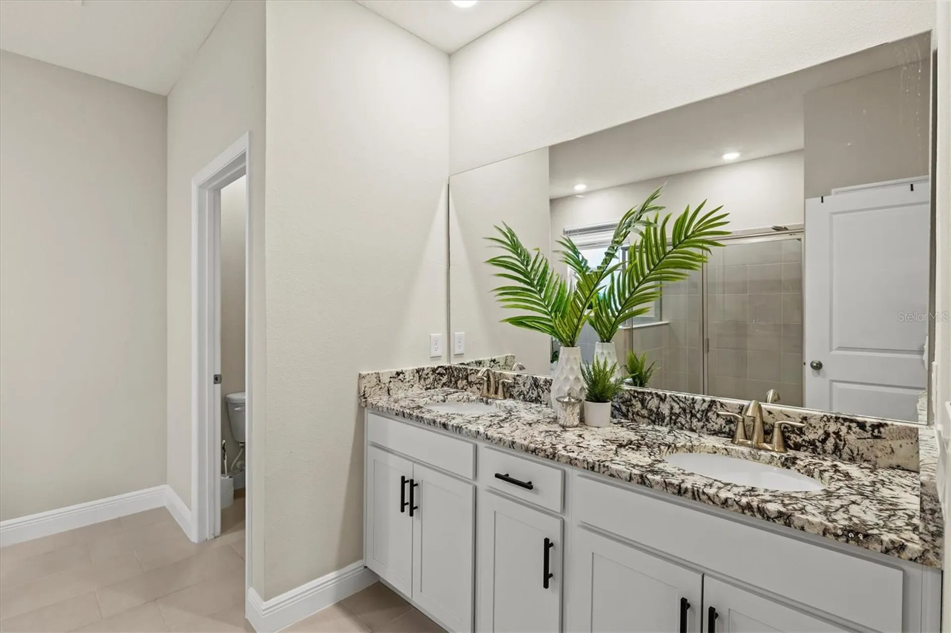 157 Bright Ibis Avenue Apollo Beach FL 33572