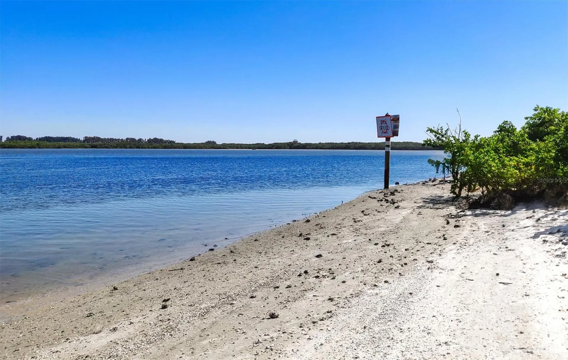 157 Bright Ibis Avenue Apollo Beach FL 33572