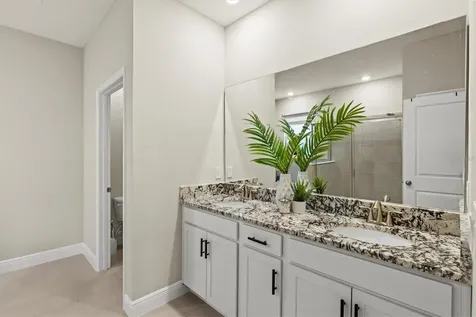 157 Bright Ibis Avenue Apollo Beach FL 33572