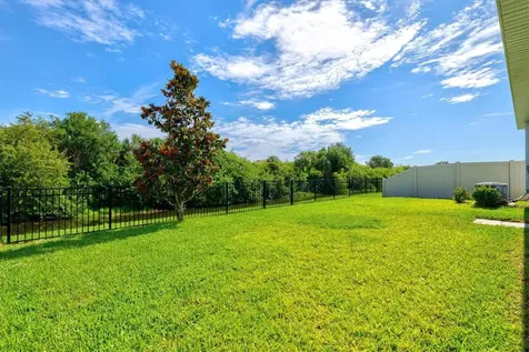 157 Bright Ibis Avenue Apollo Beach FL 33572