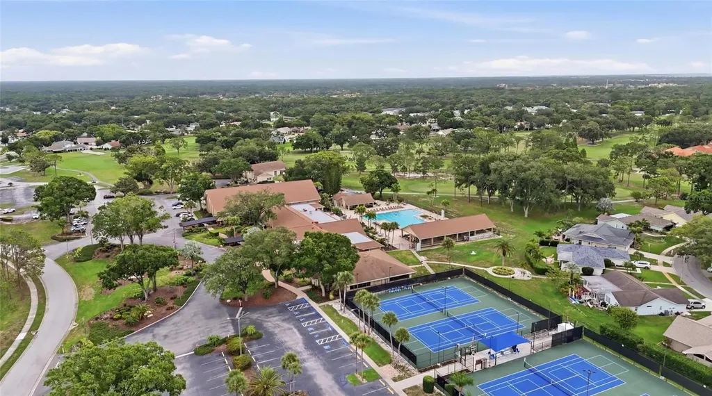 3271 Mcmath Drive Palm Harbor FL 34684