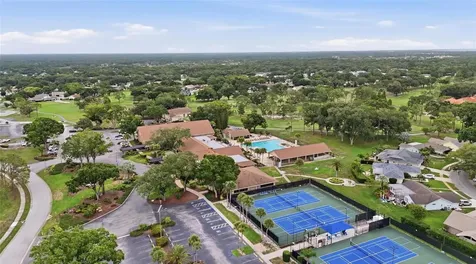 3271 Mcmath Drive Palm Harbor FL 34684
