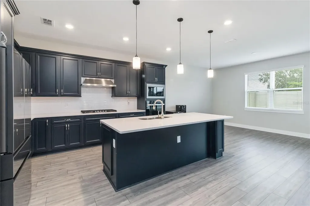4067 Meandering Bay Drive Apopka FL 32712