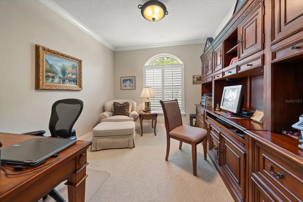 3926 Saywood Court Palm Harbor FL 34685
