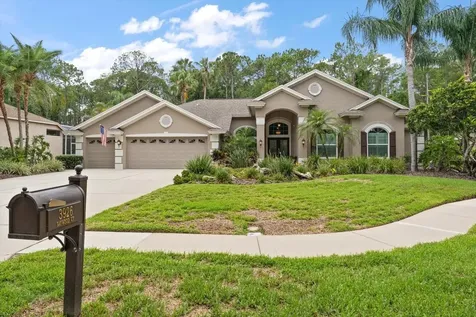 3926 Saywood Court Palm Harbor FL 34685