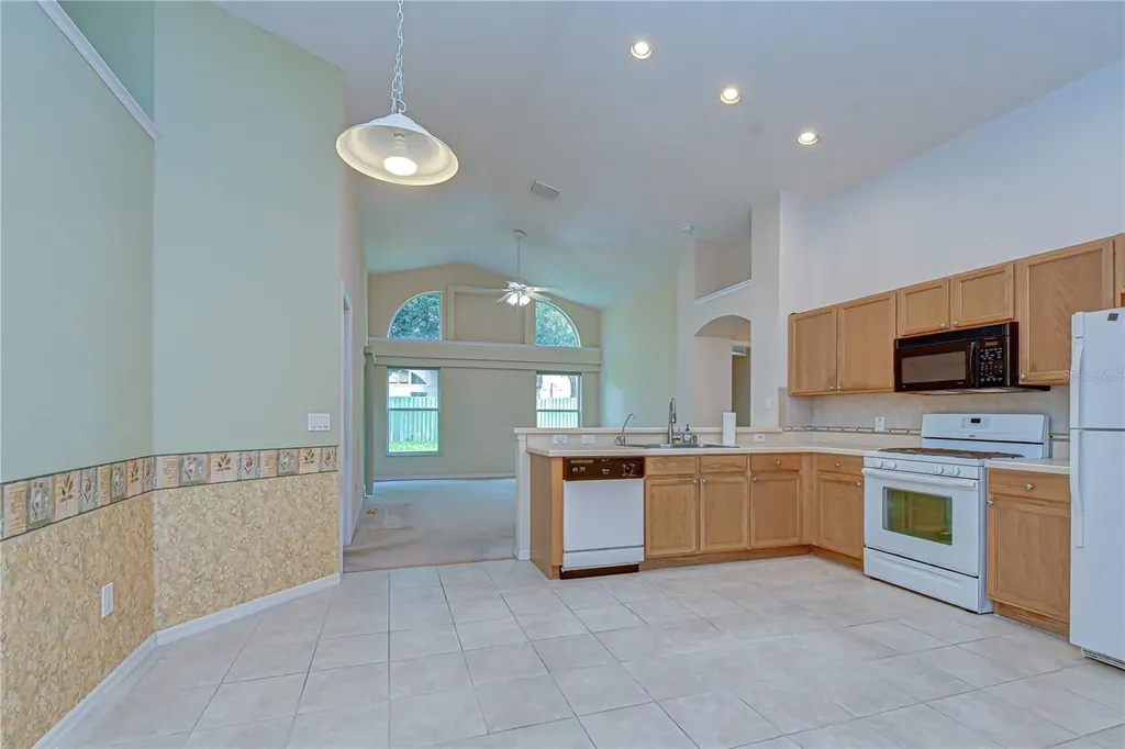 18927 Twinberry Drive Tampa FL 33647
