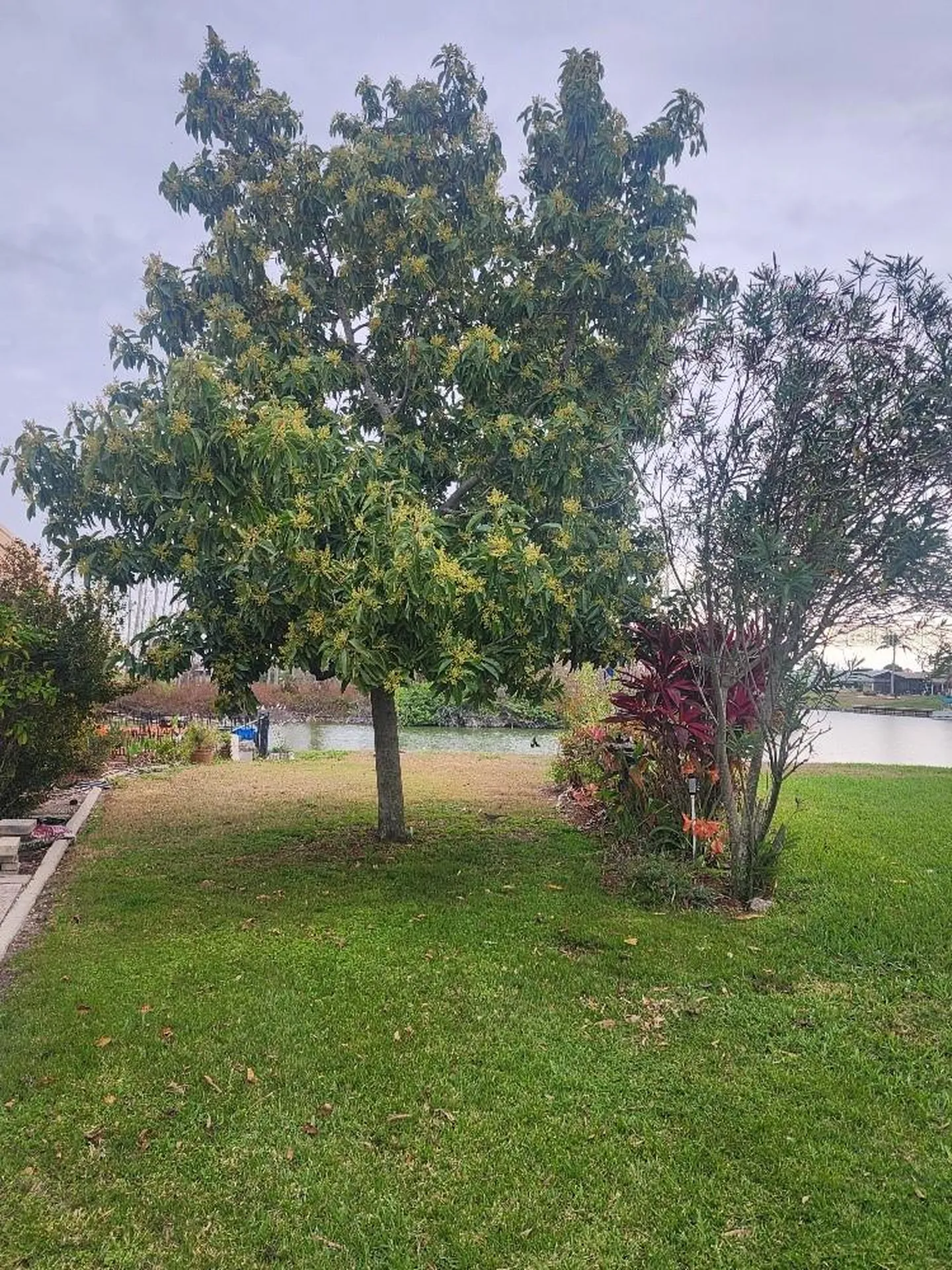 1411 Jacobson Circle Sun City Center FL 33573