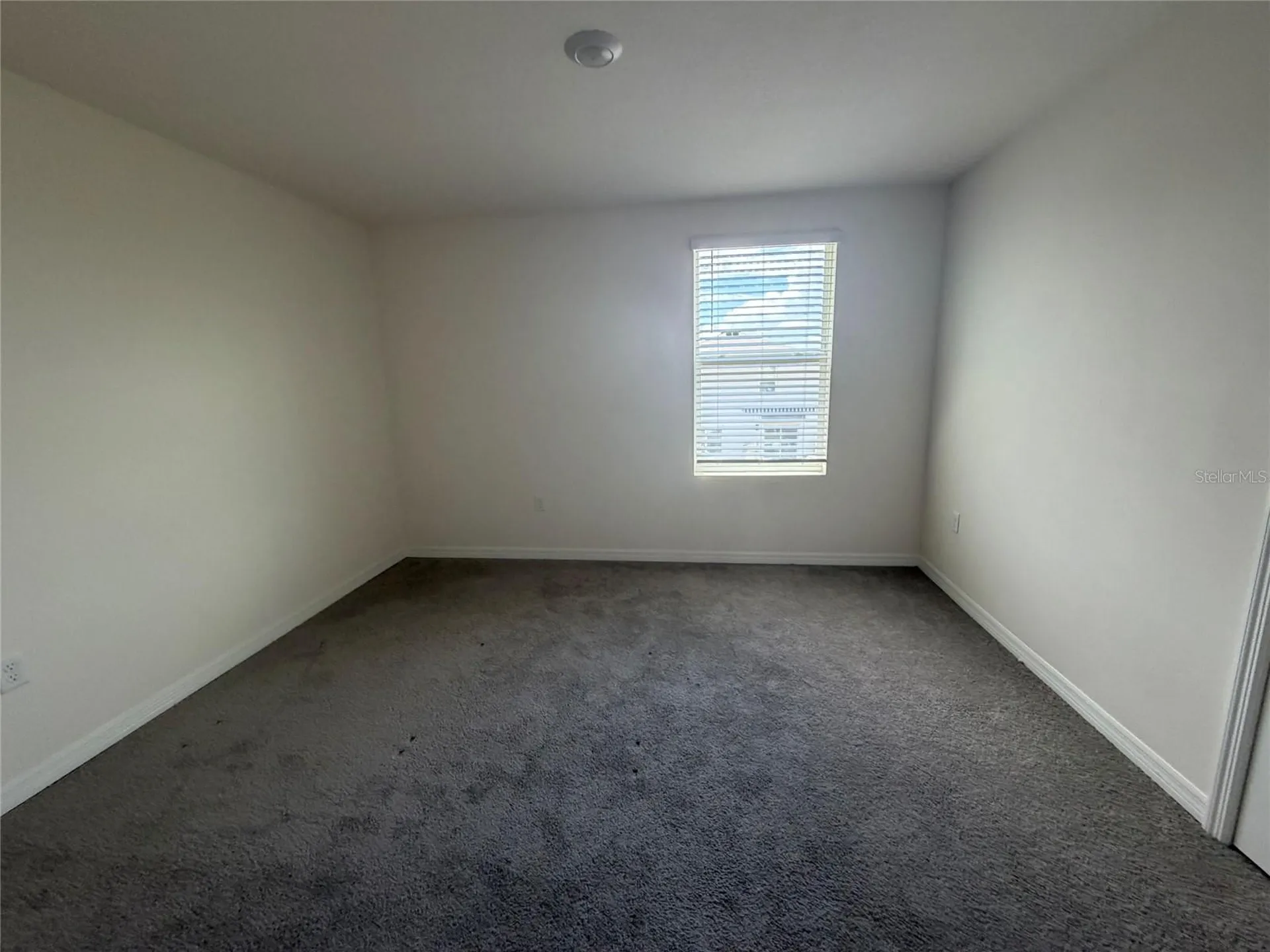 12153 White Cypress Place Riverview FL 33569