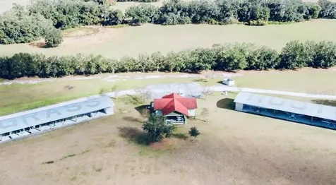 Grass Roots Road Groveland FL 34736