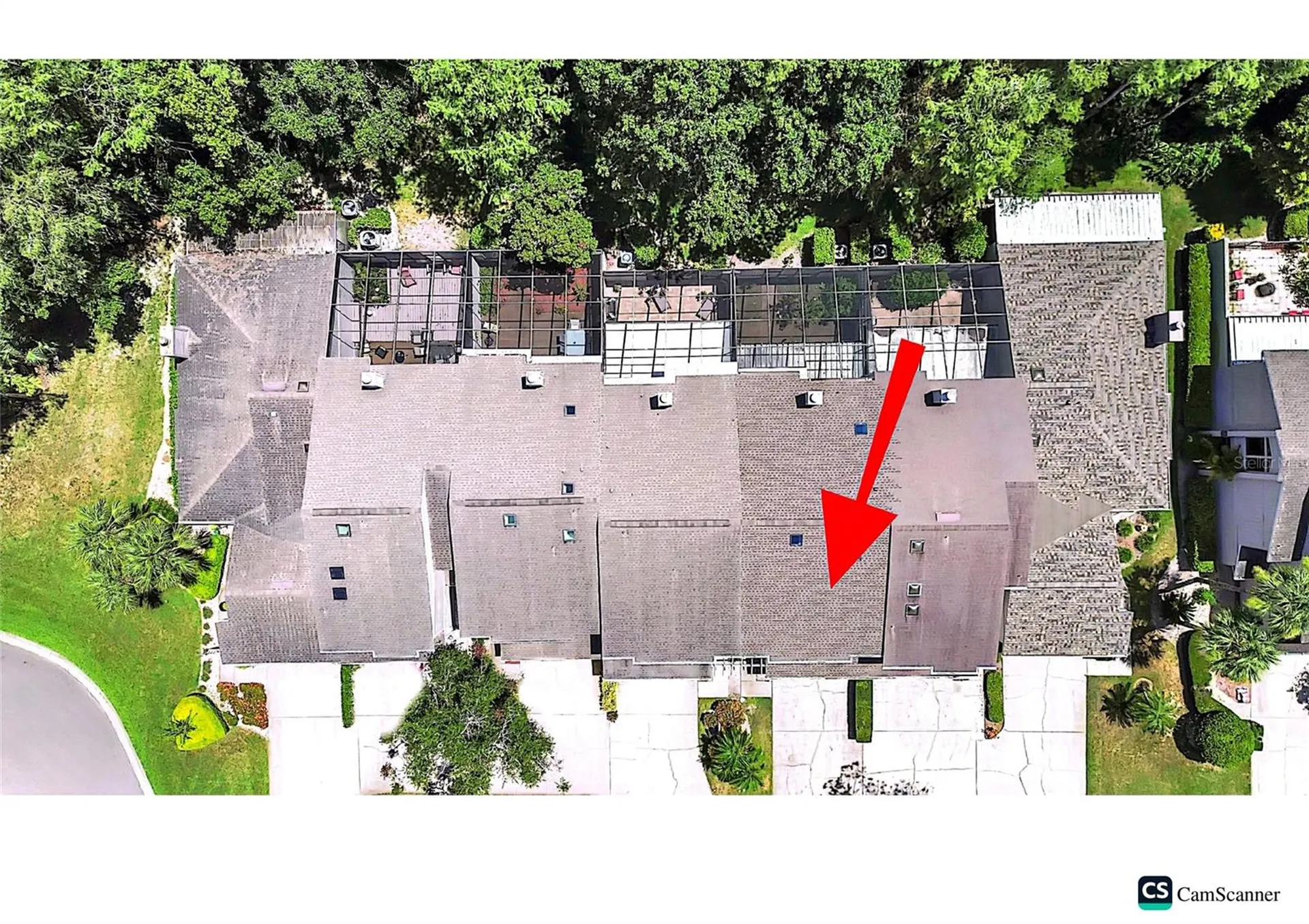 4210 Forester Lane Tampa FL 33618