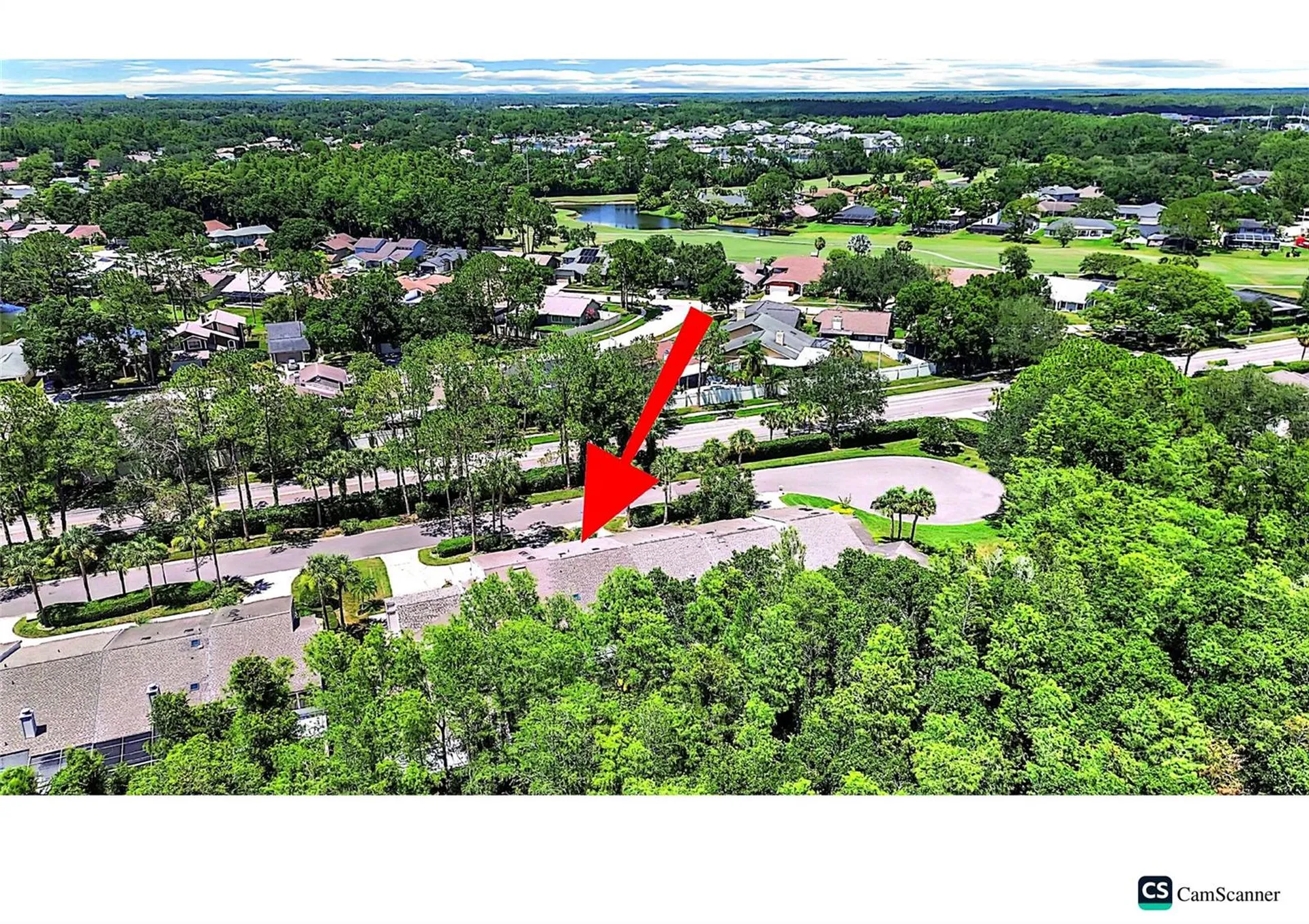 4210 Forester Lane Tampa FL 33618