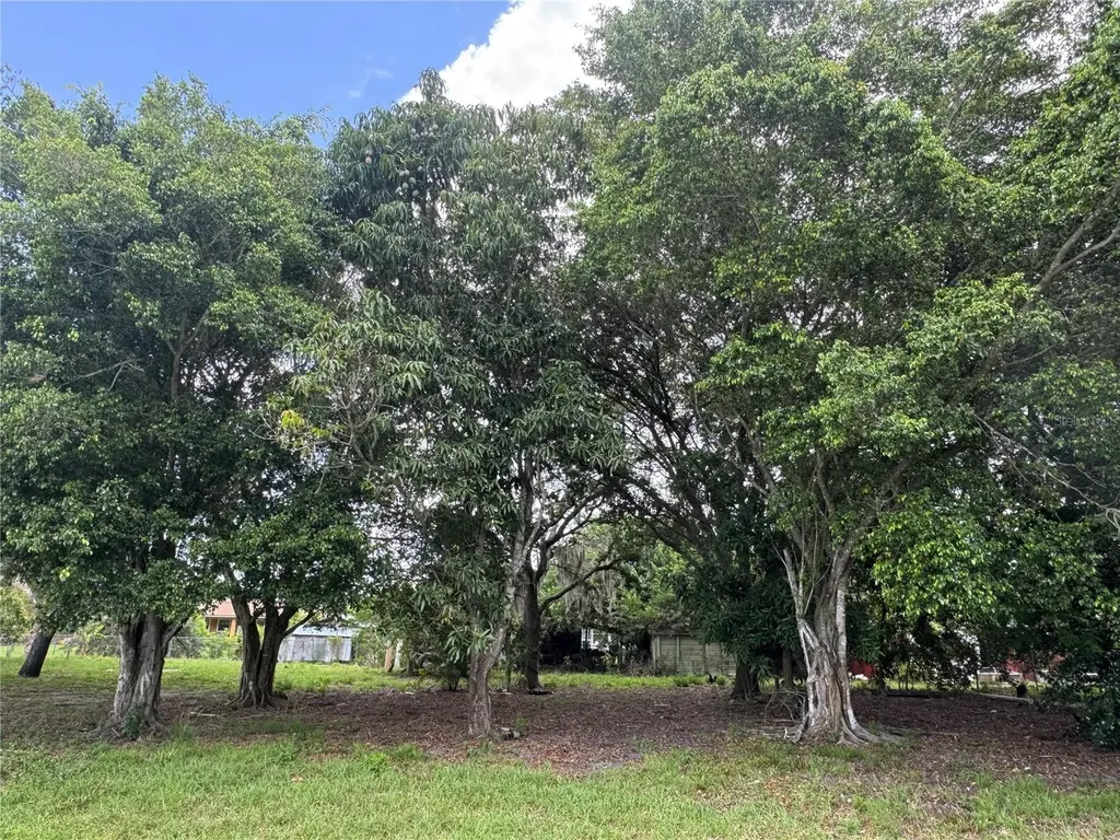 Washington Avenue Immokalee FL 34142
