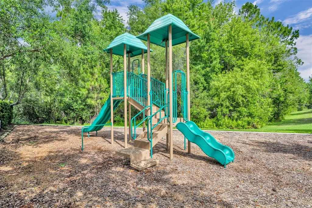 9906 Moss Rose Way Orlando FL 32832